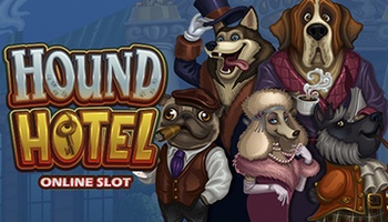 Hound Hotel